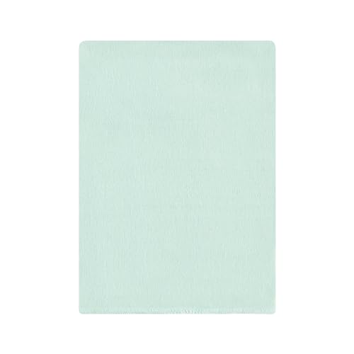 Image of Hudson Baby Unisex Baby Cotton Poly Flannel Burp Cloths Bundle, Boy Dino World, One Size