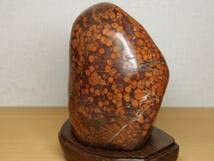 Amazon.co.jp: 赤孔雀1.1kg 孔雀石 紋石 原石 碧玉 風水 開運