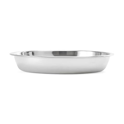 EveryYay Dining in Stainless Steel Bowl Insert for Cats