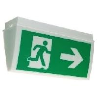 Iluminación de emergencia Brumberg 79030004 para salida de escape en techo y pared