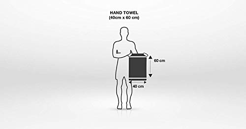 Image of Hand Towels 16x24 inches, Soft & Highly Absorbent Bathroom /Face Towels, Pack of 2 (White)