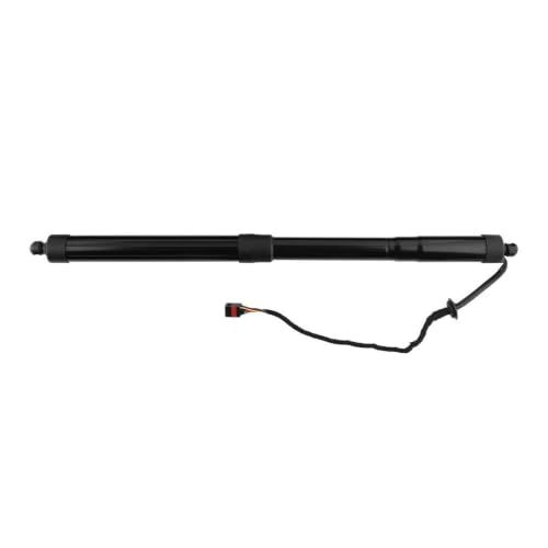 Support levage hayon électrique 81770-2W600 idéal pour les départs en vacances en Santa Fe