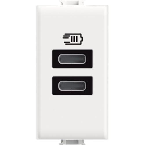 Bticino AM4191CC Caricatore USB con due ingressi di tipo C, da installare nella placca Matix, per ricaricare un dispositivo elettronico fino a 15W o due dispositivi in simultanea, 1 posto, bianco