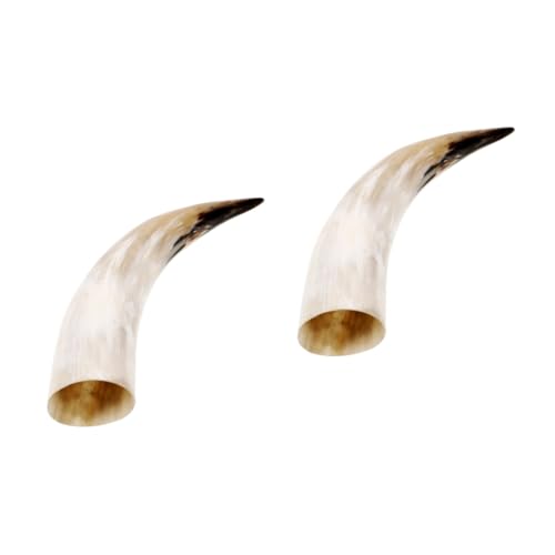 GETAJGHSD 2pcs Retro Horn Dried Flower Vase Unique Wall Hanging Decor for Home Vintage Horn Craft Wall Planter for Individuality Any Interior Design