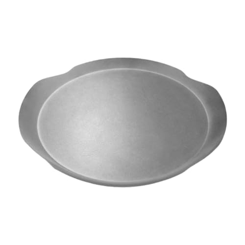 Qianly Stainless Steel Dinner Plate Salad Plate Food Snack Cake Plate Appetizer Plates for Kitchen Cafe Gathering Event Anniversary, C