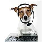 RUCKUS WIRELESS 803-7762-3000 803-7762-3000 Watchdog Adv HW Replace for ZF7762, 7762 -S, 7762 Ruckus 803-7762-3000