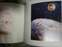 Amazon.co.jp: 岸田夏子展 世界を結ぶ桜の和 求龍堂 岸田劉生 図録