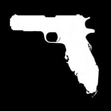 Florida Gun Gunshine State Protect Freedom Vinyl Decal Sticker|WHITE| Cars Trucks Vans SUV Laptops Wall Art|5.5" X 4"|CGS177