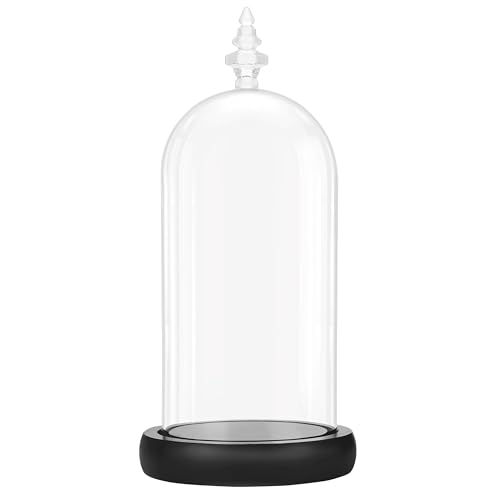 BELLE VOUS Cloche en Verre avec Socle Noir en Bois - 26,5 cm de Haut - Mini Cloche en Verre Transparent pour Lumières, Plantes, Décoration de Table