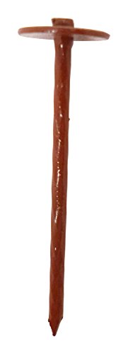 ˂ XN[PB(90{) 50mm K