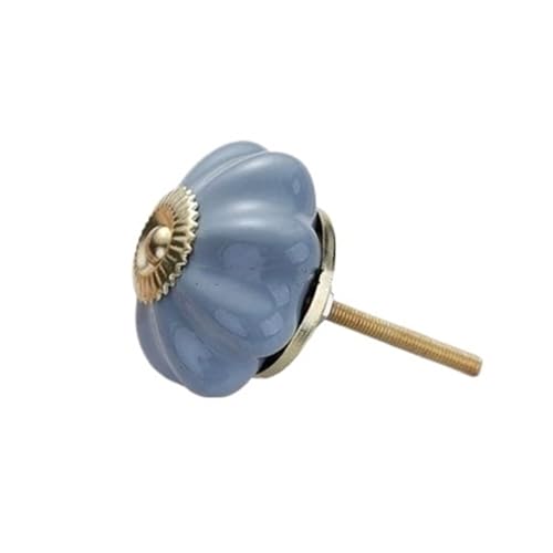 WUYXTO Gitarrväska 10 stycken pumpa-skåpdörrknappar, keramiska lådhandtag, badrumsporslin, garderob, byrå, 40 x 29 mm för 39 40 41 tums gitarr (Peacock Blue)