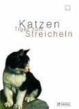  Katzen: Tiger zum Streicheln