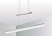 Produktbild Trango 2014-012A Design stufenlos dimmbare & höhenverstellbare Pendelleuchte *WOW* Edelstahl-Optik - 850mm Lang inkl. 1x 20 Watt LED Modul 3000K warmweiß Esstischleuchte - Hängelampe  Deckenleuchte