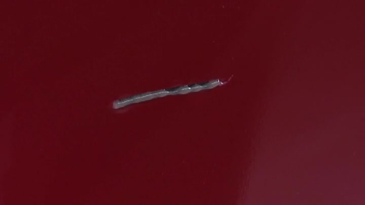 市場 ソフト99 バイク 洗車用品 ガラス用クリーナー 車 洗車 自動車 光硬化パテ 自転車 ケミカル用品