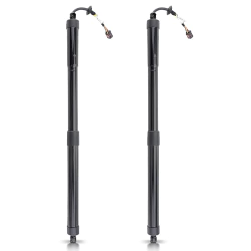 Support levage coffre électrique fluide Nissan X-Trail T32 amortisseur de rechange stable