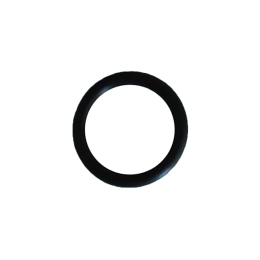 Junta Tórica De Purgador Para Filtro De Arena Side Hayward