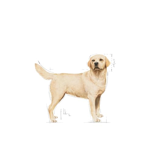ROYAL CANIN E Labrador Erwachsene CAJA 10 x 140 g