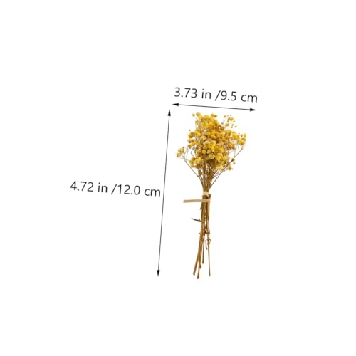 Ramo de 5 flores de Gypsophila secas para decoración miniatura 2