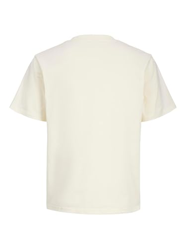 Vêtements Jack & Jones Jcotier Front Print Tee Ss Cn Sn Jnr pour Accessoires - vue 5