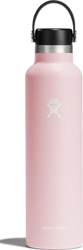 Hydro Flask 24 Oz Standard Flex Cap Trillium