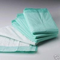 ABSORBANT Disposable Wee Wee PUPPYUNDERPADS 23x24 100/CS