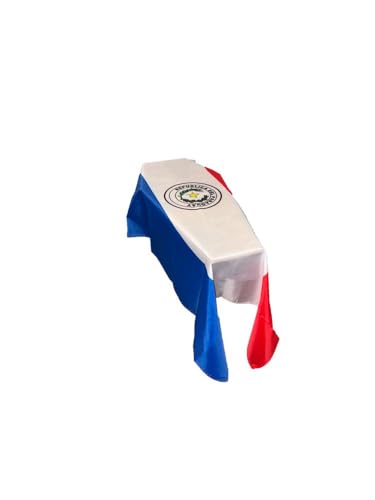Bandera de Paraguay con diseño de ataúd para decorar tu habitación o sala