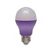 Purple LED Light Bulb by EcoSmart - 25W Equivalent GP19