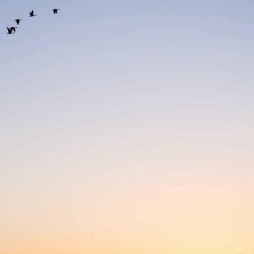 『Les petits riens qui changent la vie』のカバーアート