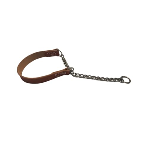 Joel Silverman - Alternative Training Collar - Gentle No-Pull Dog Collar - Leather & Chain Combo for Humane, Low-Neck Control - Trainer-Trusted Leather Dog Collar for All Breeds (Large)