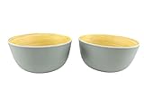  Generico Juego de 2 cuencos de 14 x 7 cm, exterior de color liso e interior con efecto bambú de melamina (gris claro)