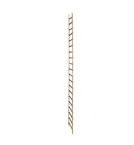 Hailo - Echelle Plate de Toit en Bois pour Couvreur 5m Hailo Safety Roof