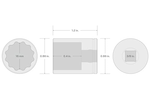 Image of TEKTON 3 /8 Inch Drive x 16 mm Shallow 12-Point Socket | SHD12316