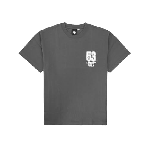 Liberty Walk LBWK Skyline GT-R R34 JDM Graphic T-Shirt Gray Car Enthusiast Tuner Streetwear Japanese Tuning Car Culture Gift - Image 3