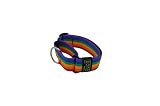 Bub´s Halsband Martingale für Windhunde Gross und mittel. Masse des Halsumfangs des Hundes: 35 – 50 cm (Rainbow)