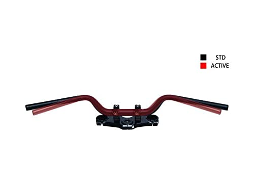 プロアクティブ　4本セット AKEBONO フェアレディZ Z34 Z34 H21.8- (ST,Sは不可) 複数有