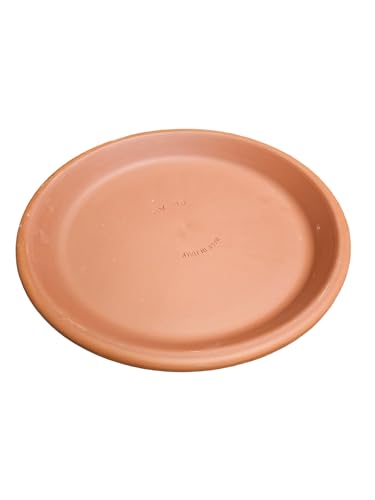 Pflanzenteller | Teller | Vogeltränke aus Terracotta Verschiedene Größen -Echt Terracotta- Ideal für Pflanzgefäße, Blumen- und Übertöpfe -Italienisch- Frostfest und Witterungsbeständig (42cm)