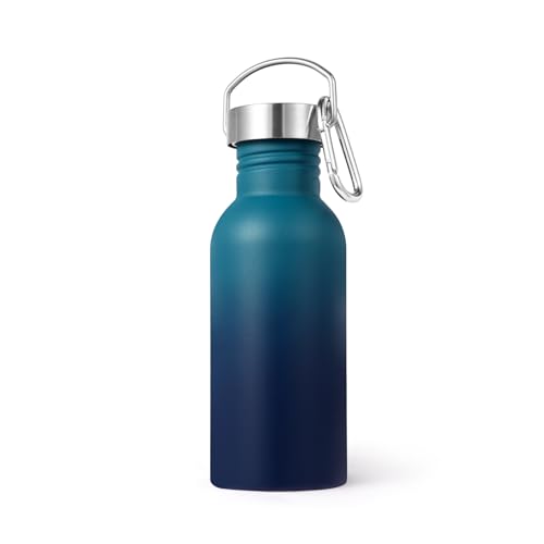 Bouteille d'eau acier inoxydable Volhoply paroi simple 304