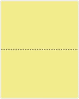 Burris Computer FormsPrint On Demand Jumbo Color Blank Postcards - Wild Canary (500 sheets/1000 postcards)
