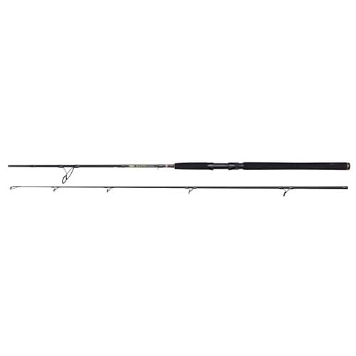 Penn Wrath II Spin 10ft 20-80g 2 Piece, Carbon Graphite, Saltwater Lure Fishing Rod, EVA Handle, Stainless Steel Titanium Oxide Guides, Fast Action, Long Casting, Code 1581632.