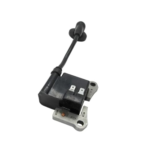Bobine d'allumage résolvant les pannes de démarrage sur TLE43