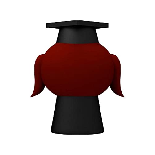 Lote 20 Memorias USB Birrete Graduación 8GB (10 Niño y 10 Niña) - Pendrives Originales Detalles y Regalos Prácticos Graduaciones Colegios Guarderías Fin de Curso