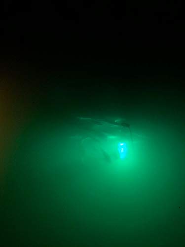 Bright Night Fishing Green Led Night Fishing Light 15,000 Lumen 30Ft Cord Waterproof Ac Underwater Fishing Light 300 Green Led Submersible Dock Light, #TOP3