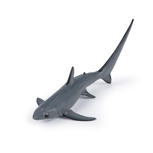 PAPO - Figurine Requin Renard Réaliste - 3 Ans + - Collection Univers Marin - Jeu Éducatif Prédateur Marin - Idée Cadeau Jouet Fille Garçon