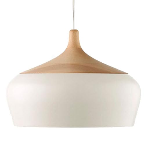Lustre de plafond à tête unique compact pour résoudre le manque de lumière des petits salons