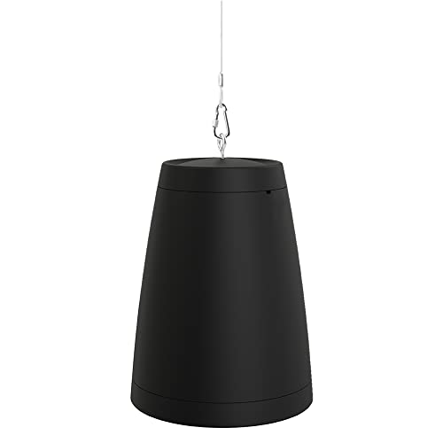 OSD Audio Nero ARC 8 Inch Professional Hanging Pendant Subwoofer 300W, 8” Graphite Cone, Safety Cable Suspension, Hardware Included (Black)