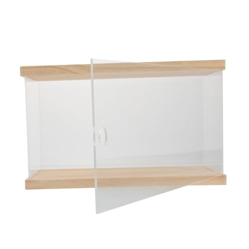 Présentoir de poupée en acrylique kaki pour vitrine de figurines et modèles réduits de voiture