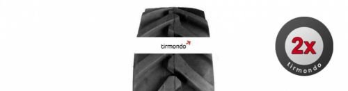 Preisvergleich Produktbild 2x 10.0 / 75-15.3 EUROGRIP TS09 10PR 10P
