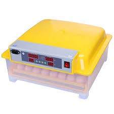 TM&W - New Automatic Incubator 48 Eggs Mini Incubator Poultry Equipment Chicken(WQ-48)