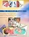 The S.T.A.B.LE. Program: Pre-transport / Post-resuscitation Stabilization Care Of Sick Infants: Guidelines For Neonatal Healthcare Providers; Learner Manual