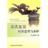 modeling and conservation of cycads. bonsai cultivation(Chin